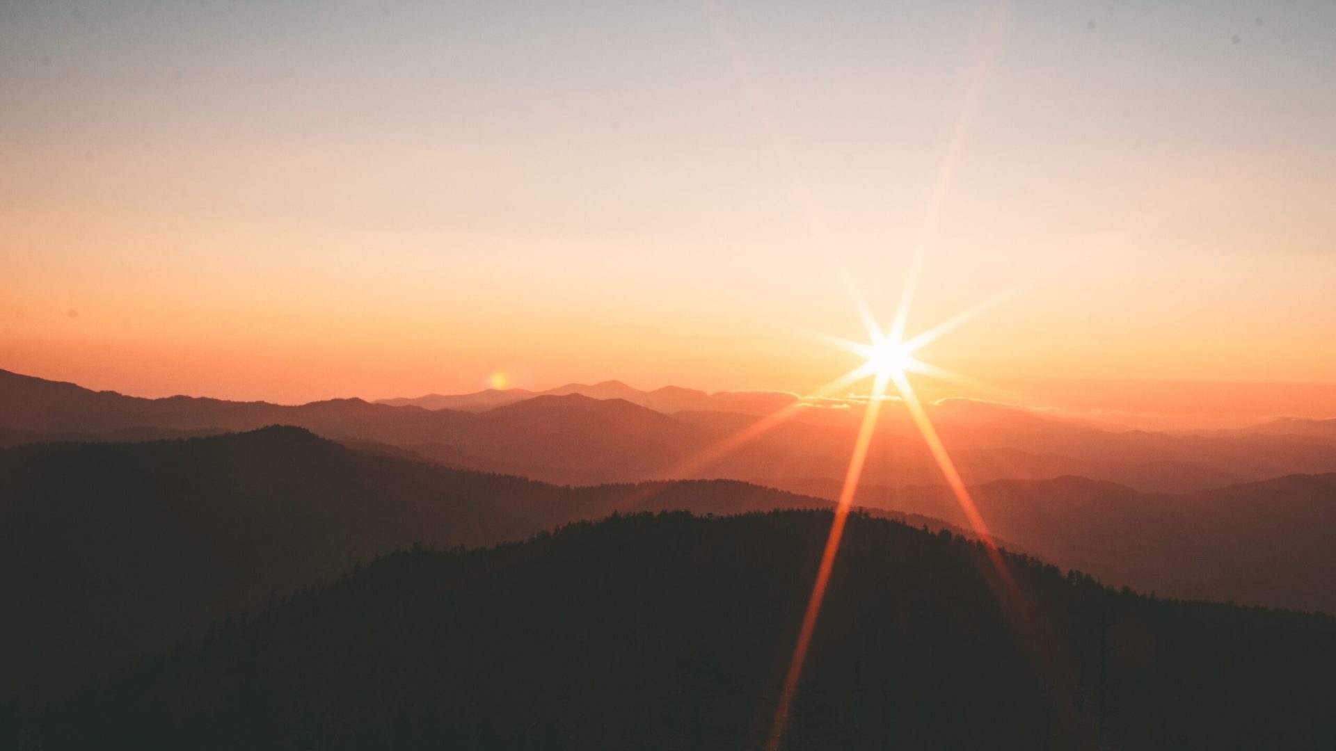ivana-cajina-dQejX2ucPBs-unsplash (1)