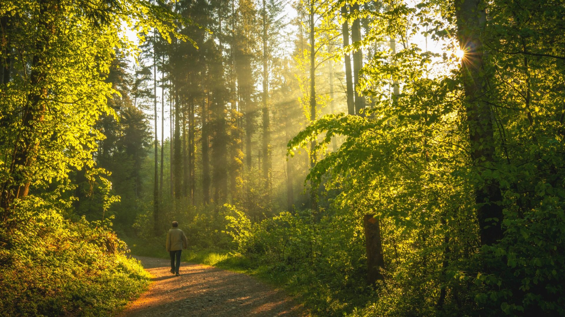 jan-huber-EWzWAuS1WYs-unsplash